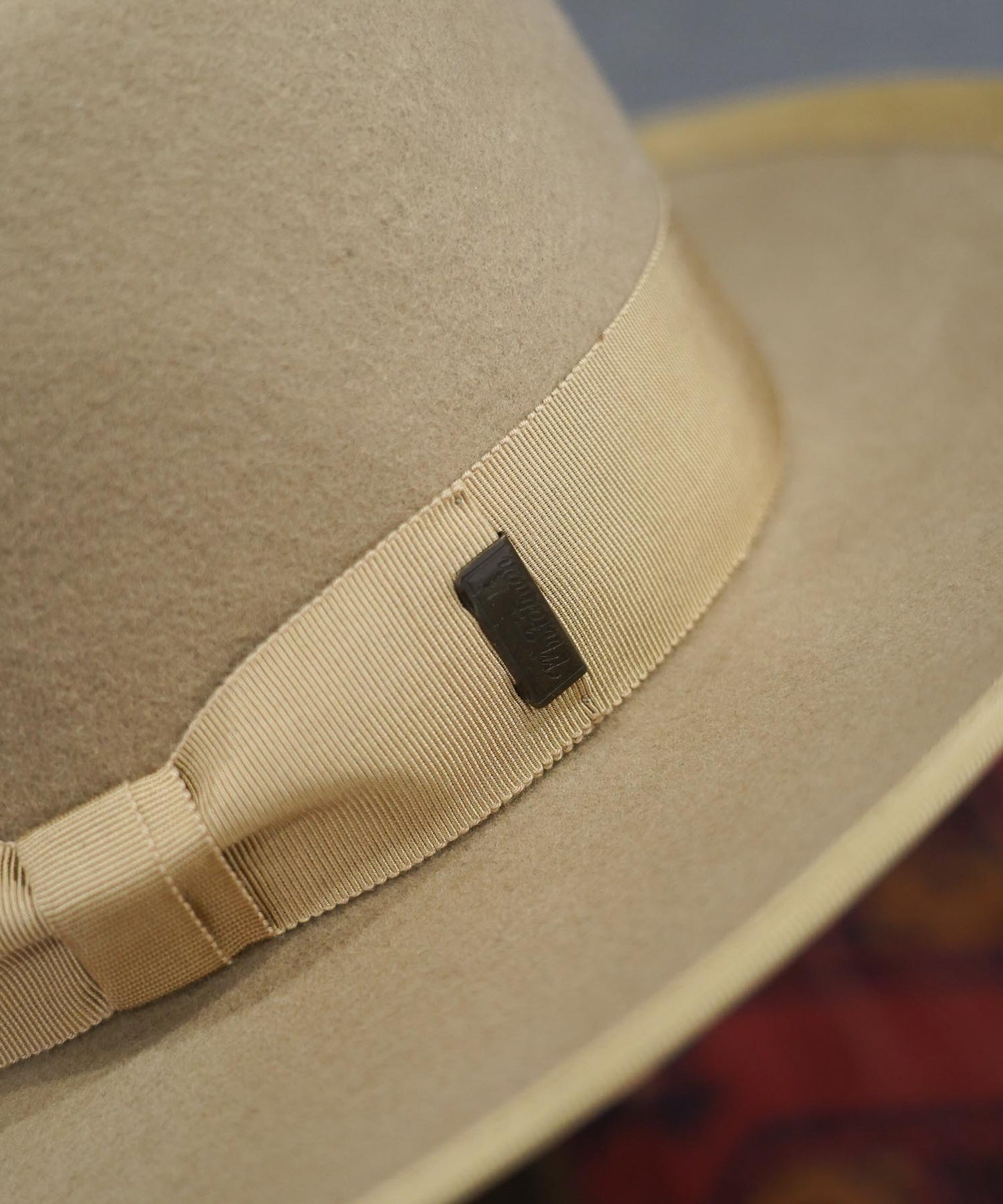 TWO DOLLAR WOOL 6253001 <hr>《COMING SOON》