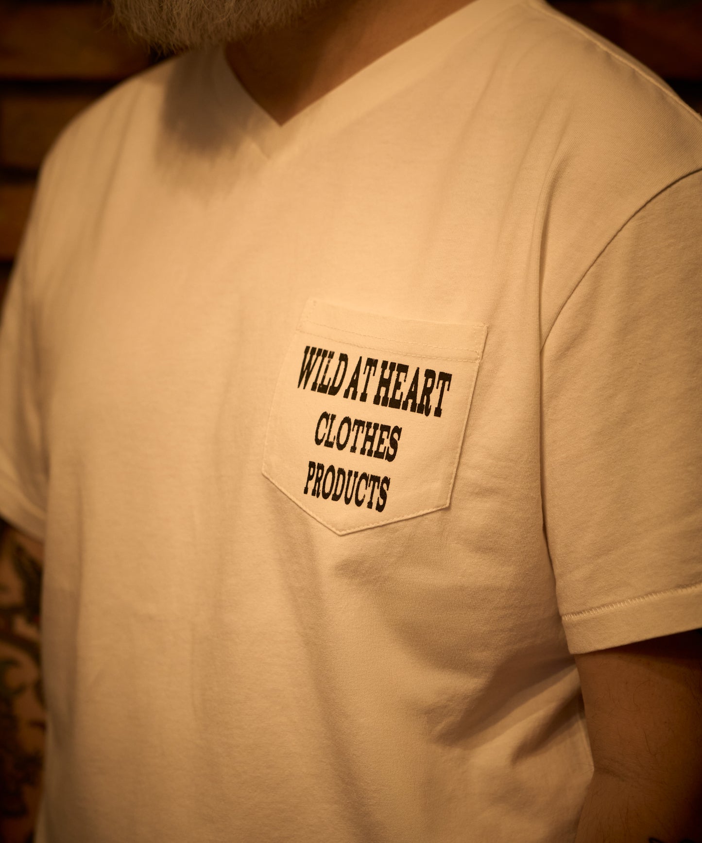 6.2oz V Neck TEE“Goldfish Legacy” 8251007