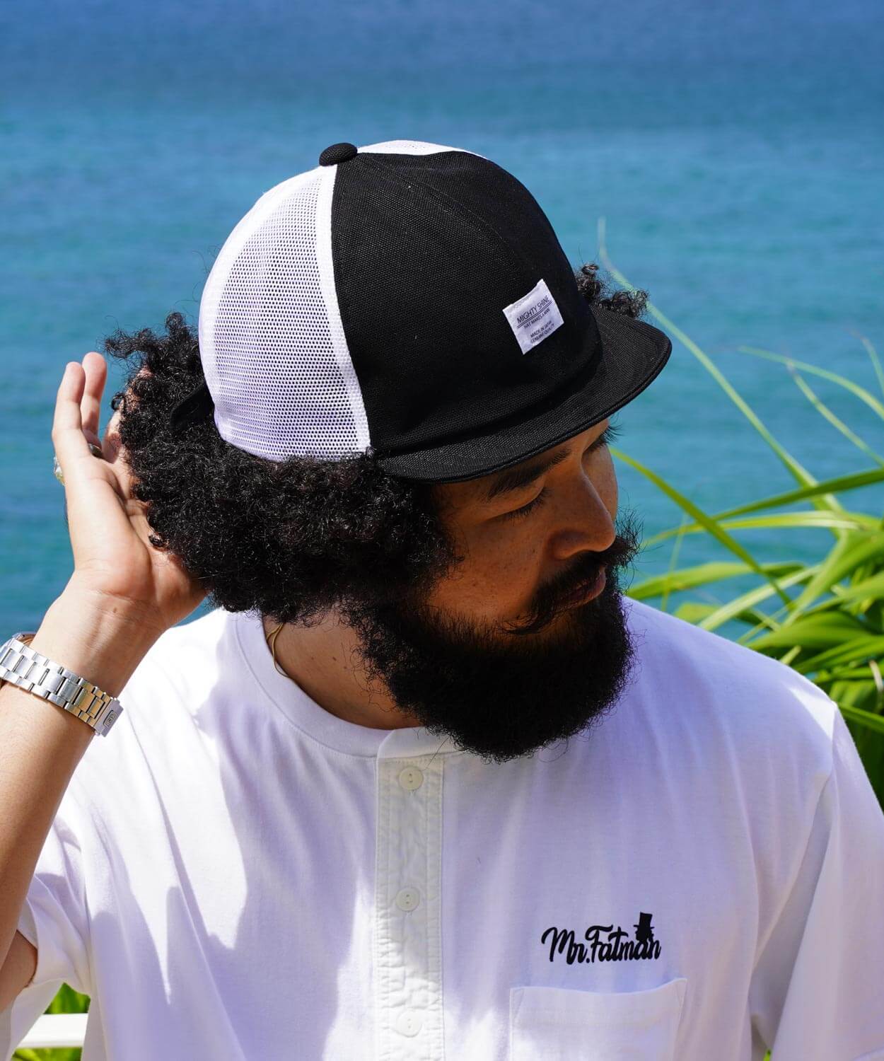 Bridge Cap Mesh