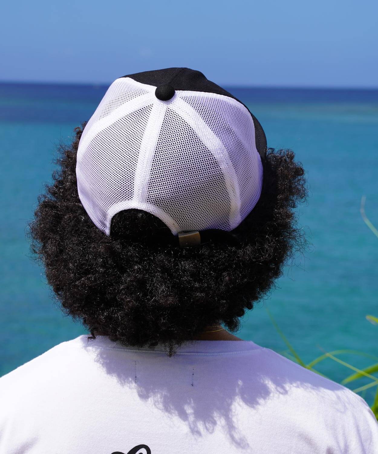 Bridge Cap Mesh