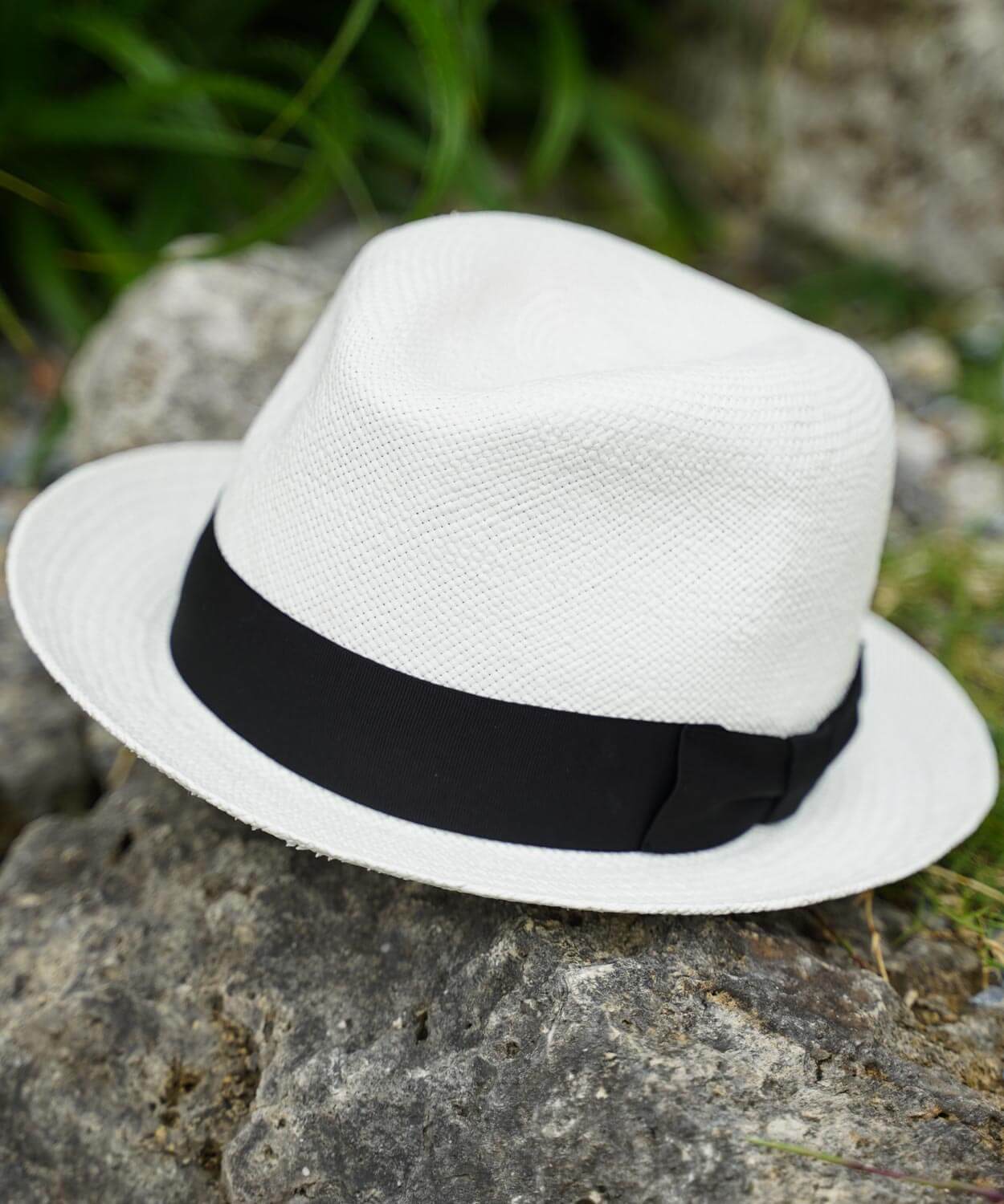 ORCA SHORT PANAMA