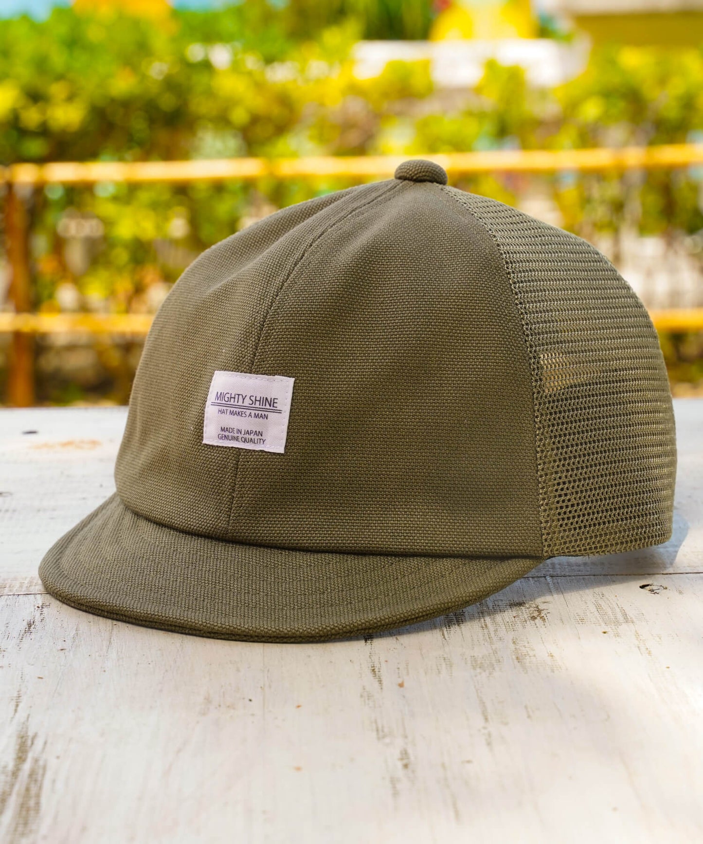 Bridge Cap Mesh