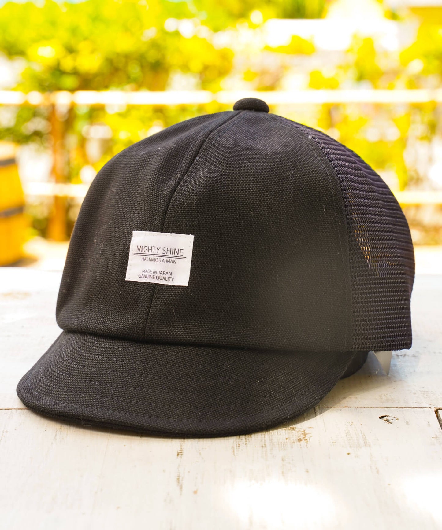Bridge Cap Mesh
