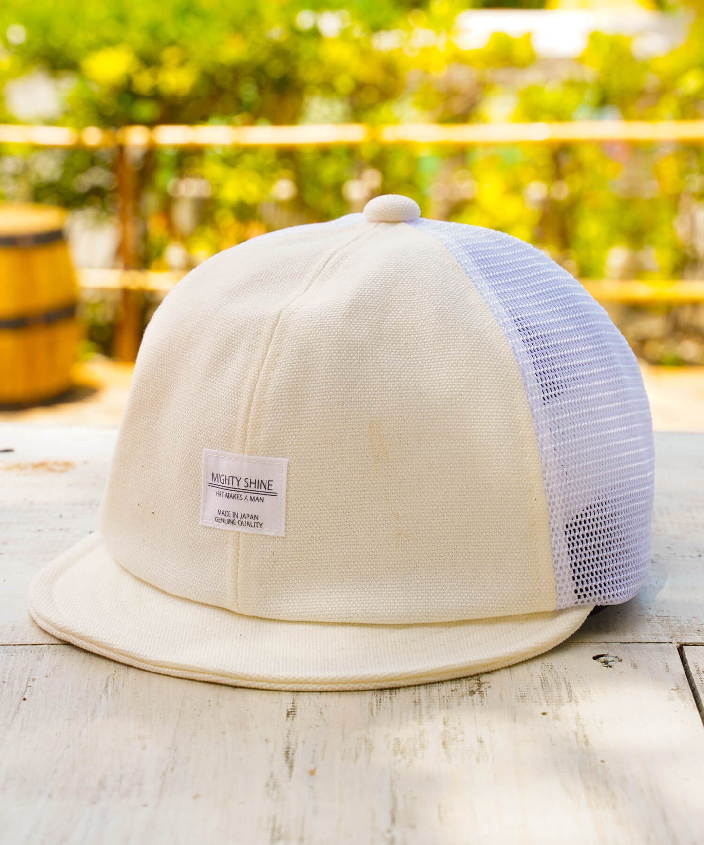 Bridge Cap Mesh