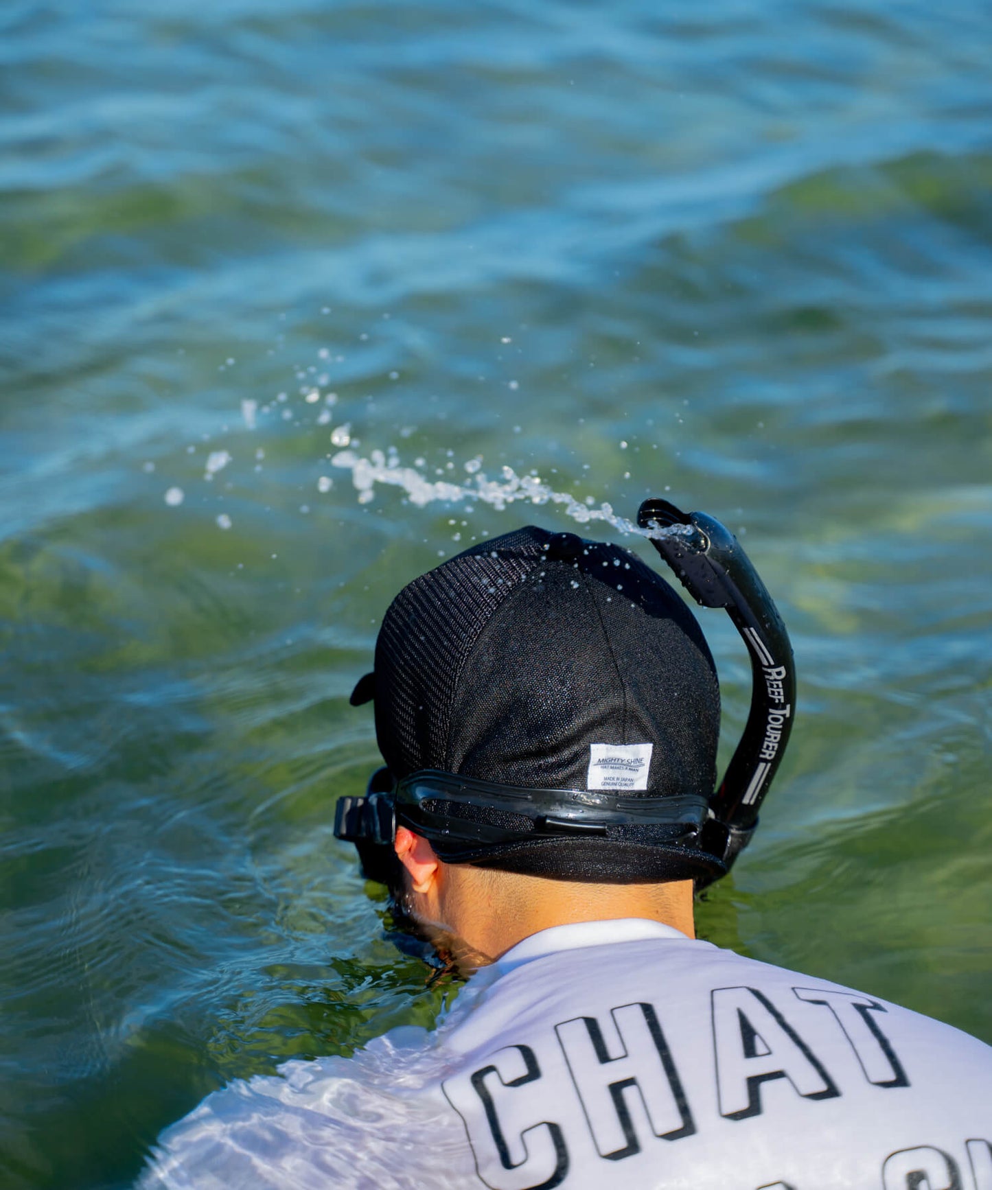 Bridge Cap Mesh