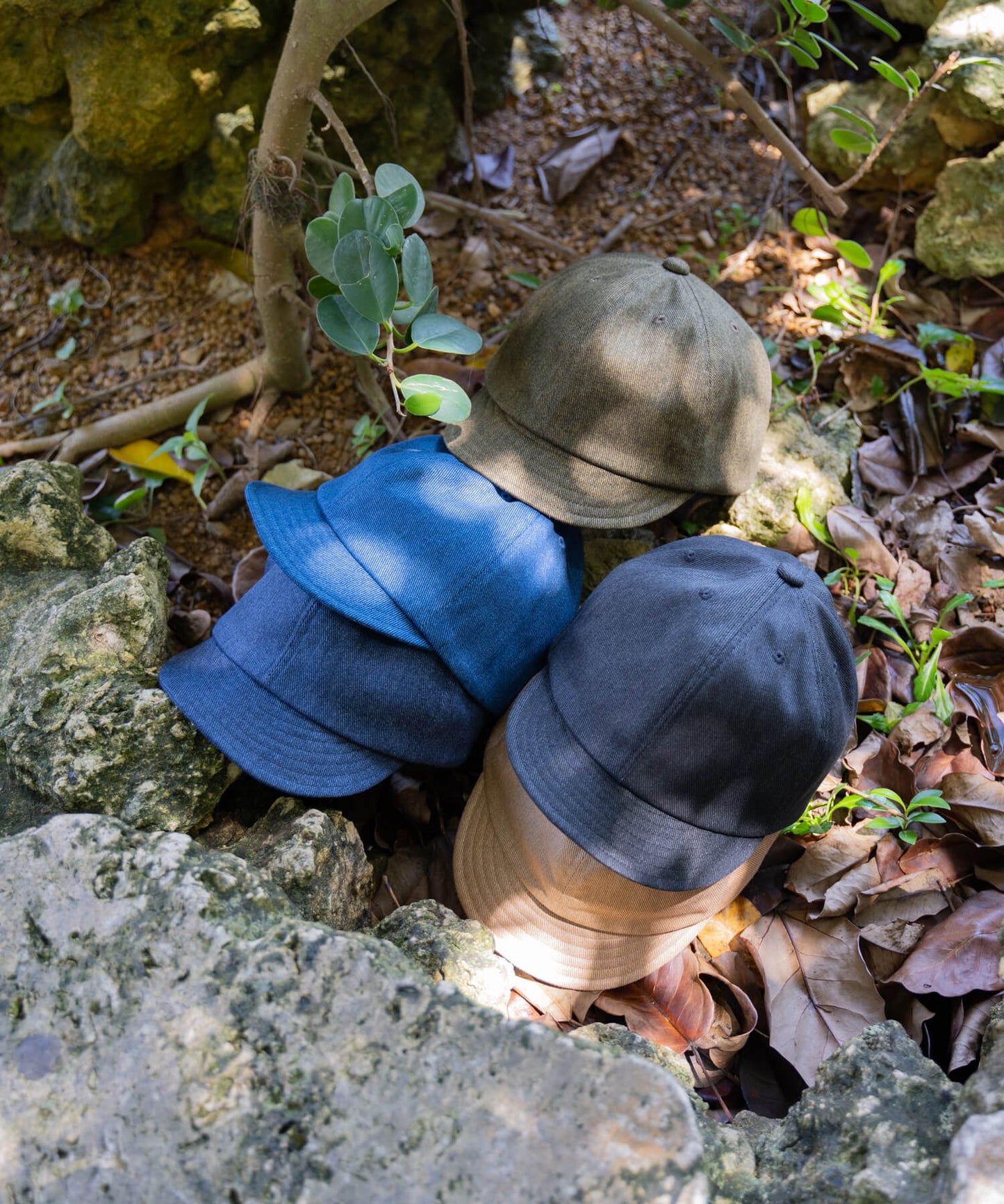 Bridge Cap