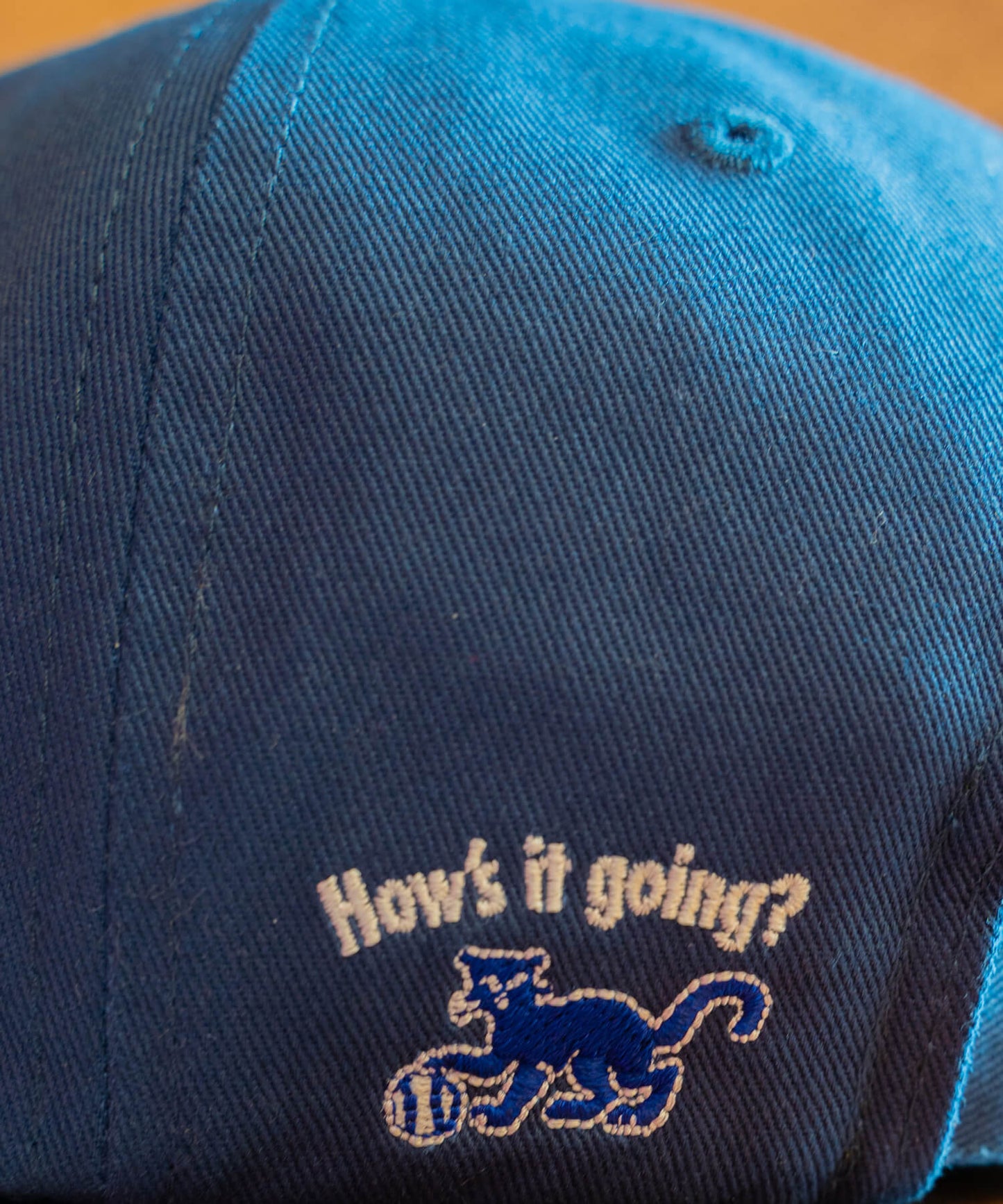 MS LEAGUE BRIDGE CAP -WILD CATS-
