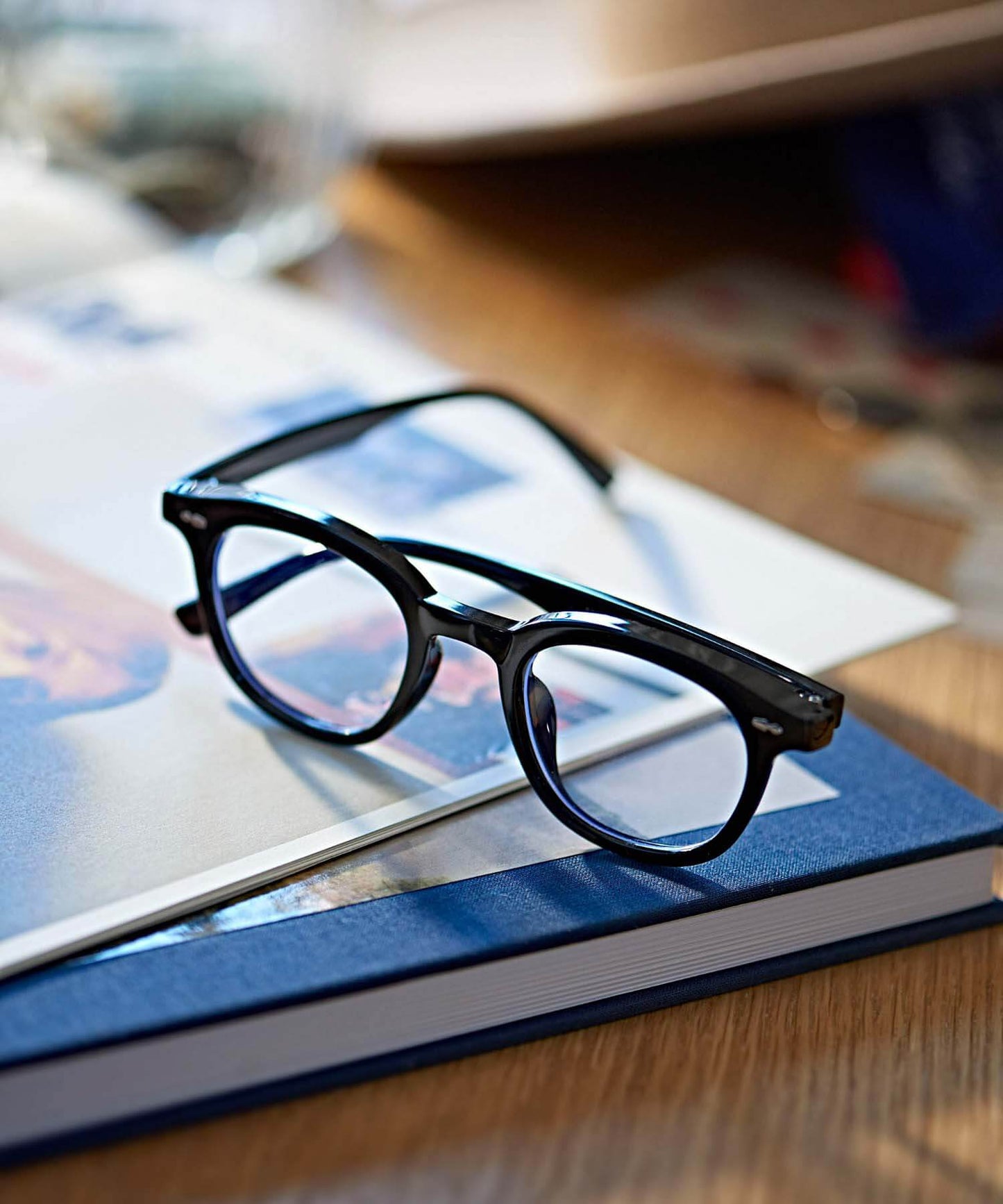 WELLINGTON SUNGLASSES -SOUVENIR-
