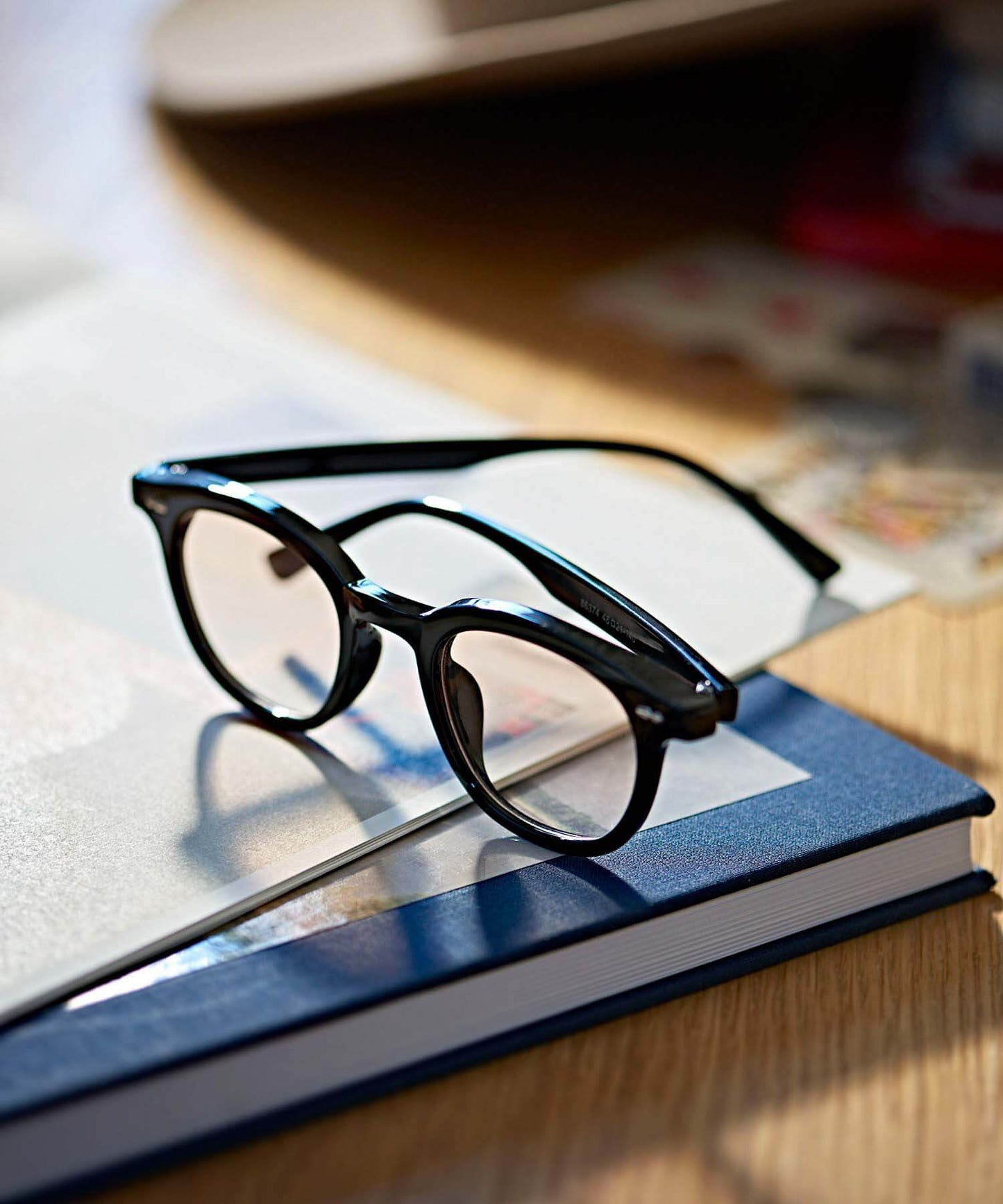 WELLINGTON SUNGLASSES -SOUVENIR-