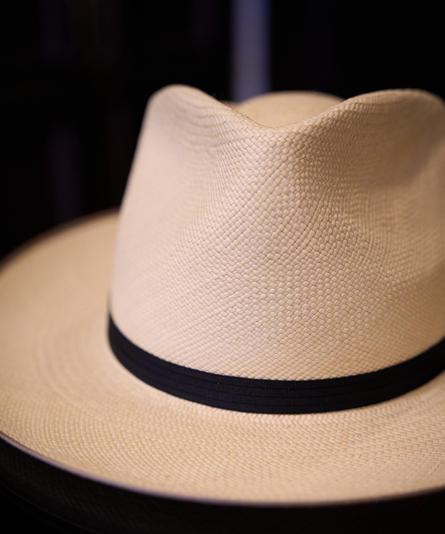 FALCON PANAMA / Grade3 Panama Quality