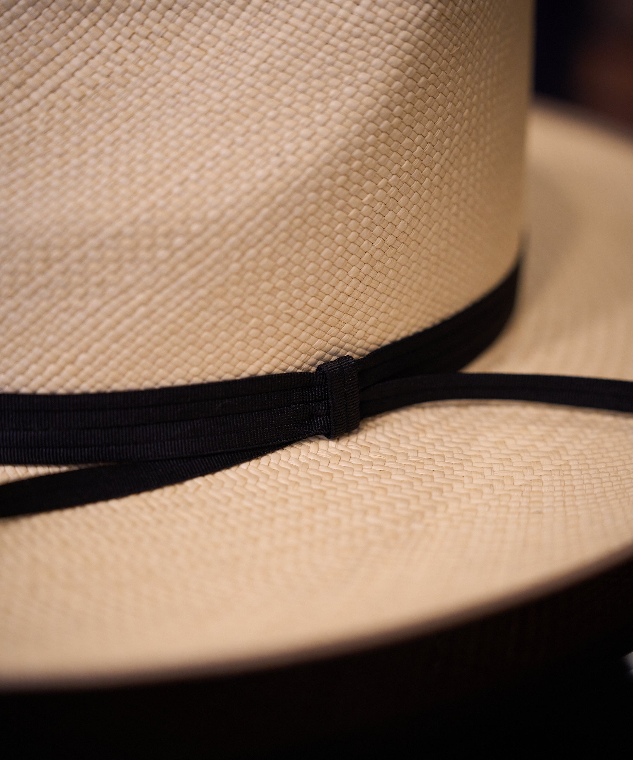 FALCON PANAMA / Grade3 Panama Quality – THE FAT HATTER