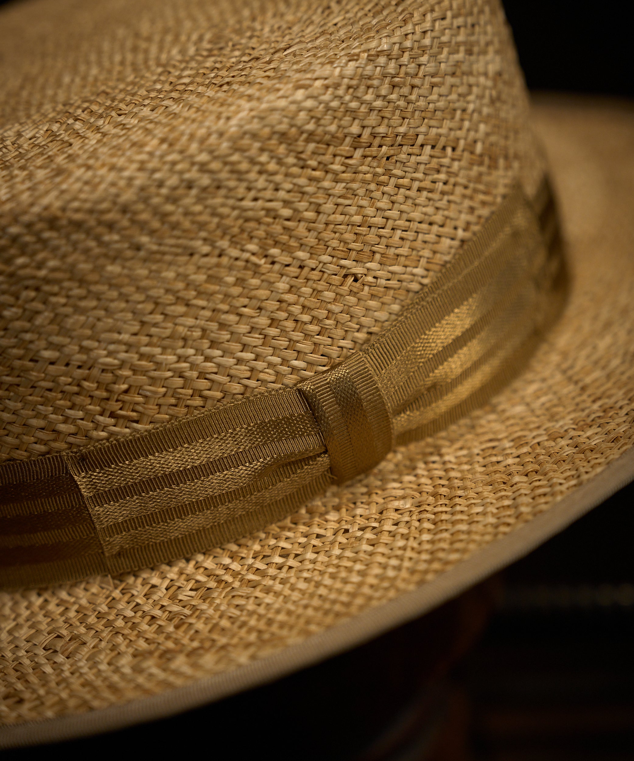 TURTLE – THE FAT HATTER