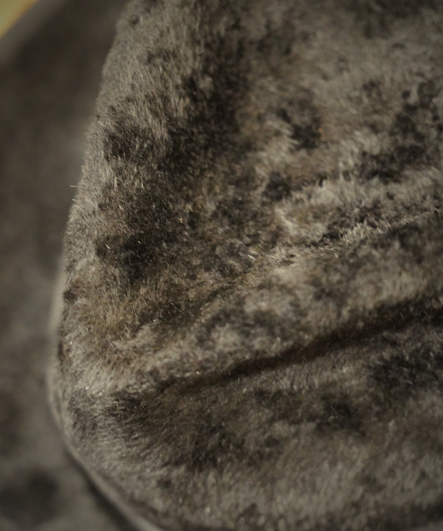 《NEW》 DARK HORSE/ Rabbit Quality