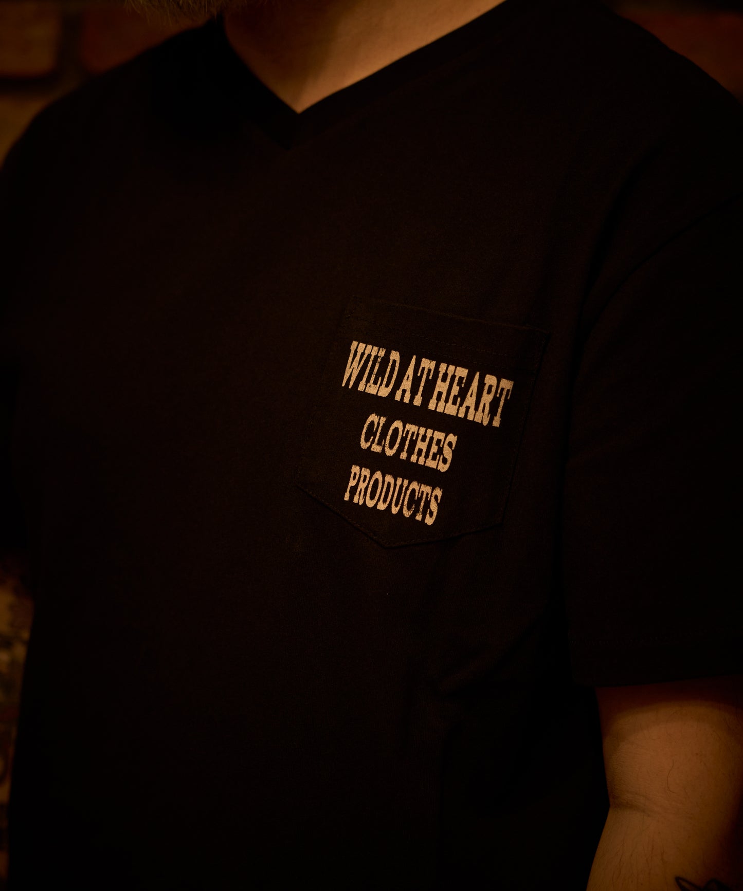 6.2oz V Neck TEE“Goldfish Legacy” 8251007
